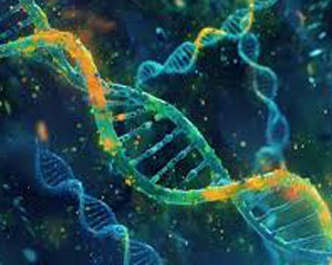 Biology