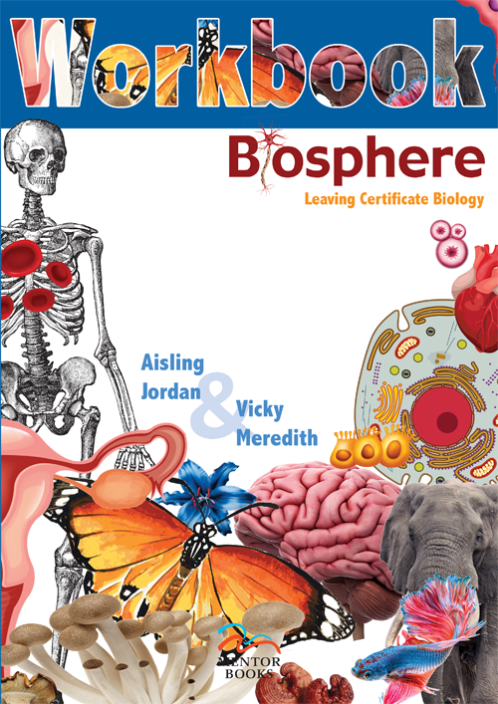 Biosphere Workbook
